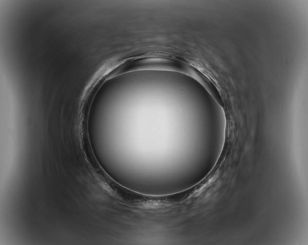 X0000087320101200704201117