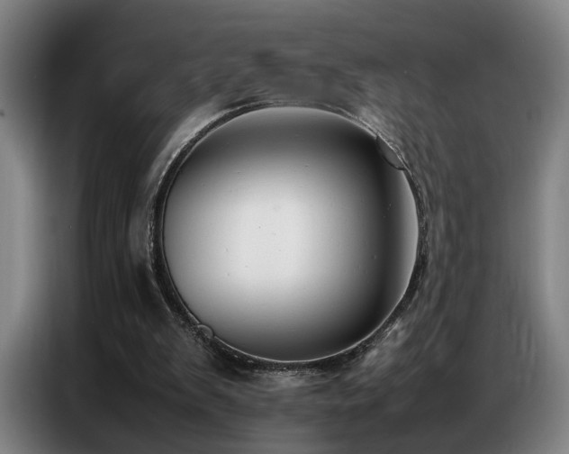X0000087320103200704201117