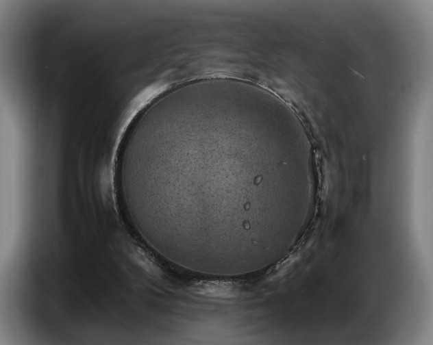 X0000087320104200704201117