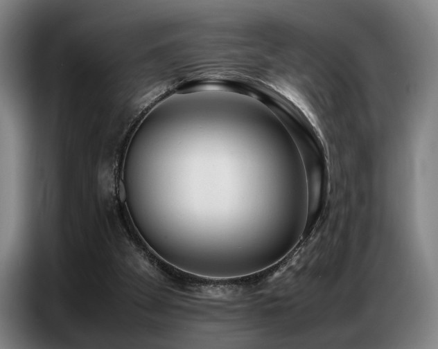 X0000087320105200704201117