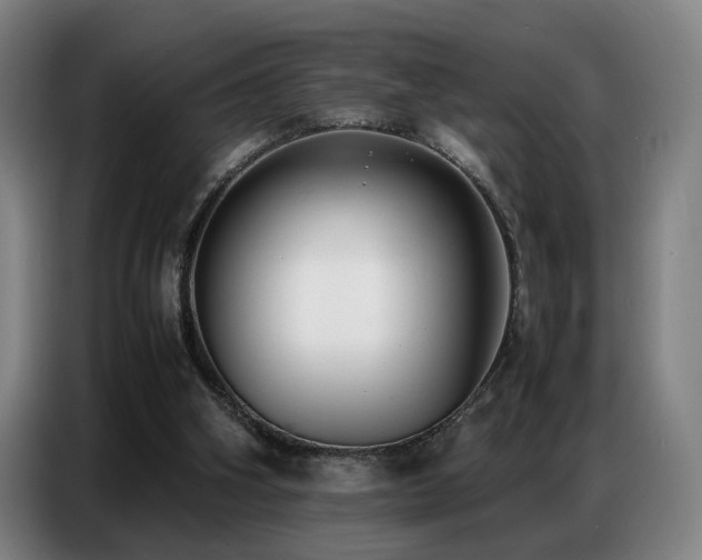 X0000087320106200704201117