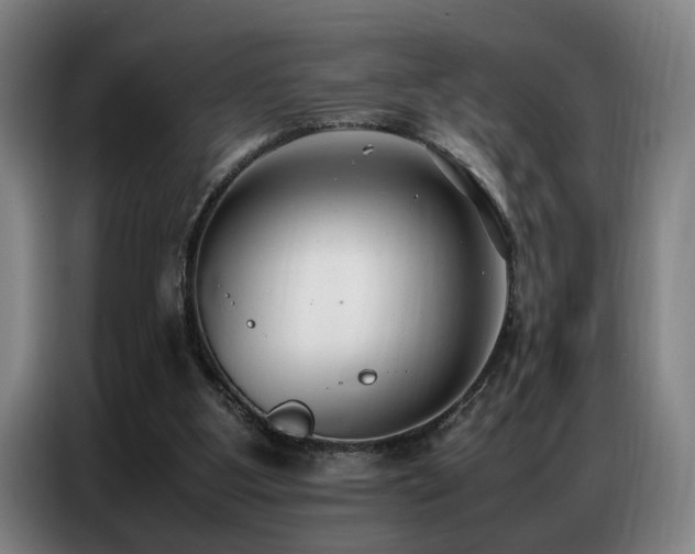 X0000087320107200704201117