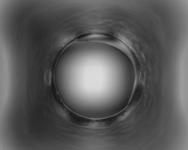 X0000087320109200704201117
