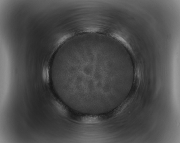 X0000087320110200704201117