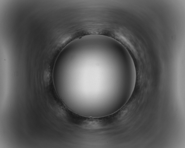 X0000087320113200704201117