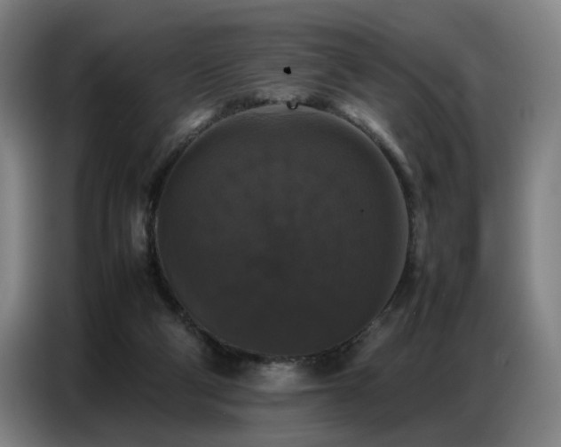 X0000087320114200704201117