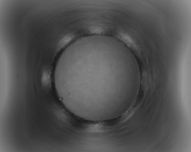X0000087320116200704201117
