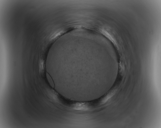 X0000087320117200704201117