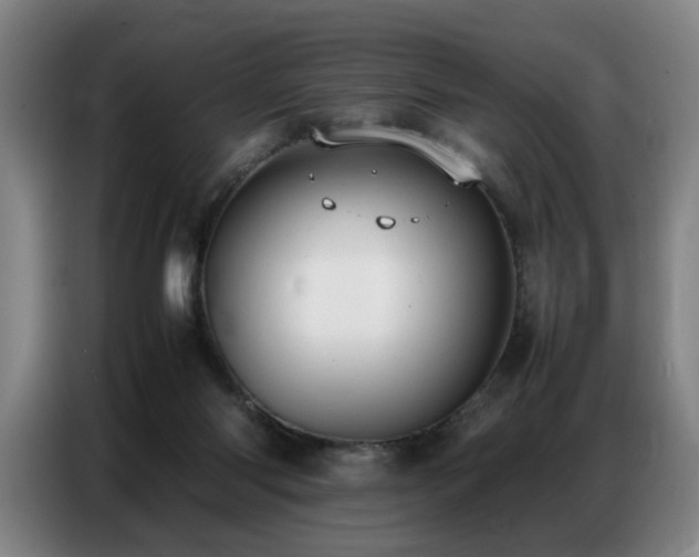 X0000087320118200704201117