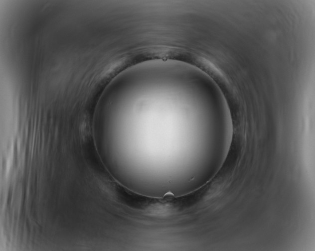 X0000087320119200704201117