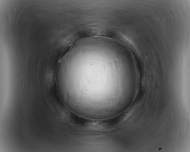 X0000087320121200704201117