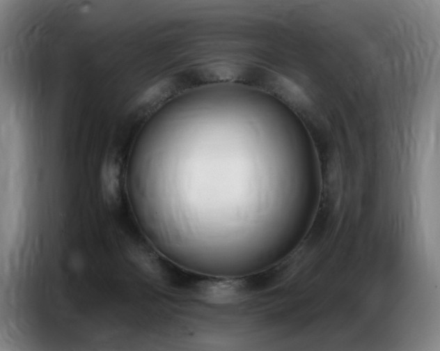 X0000087320122200704201117