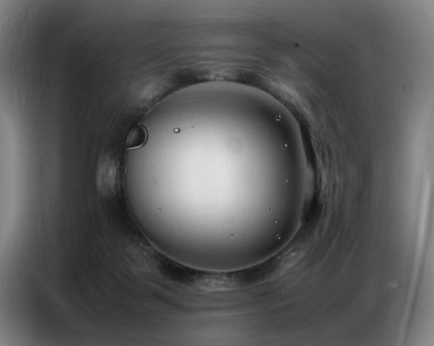 X0000087320123200704201117