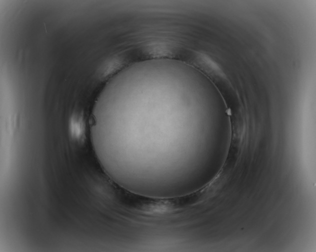 X0000087320124200704201117