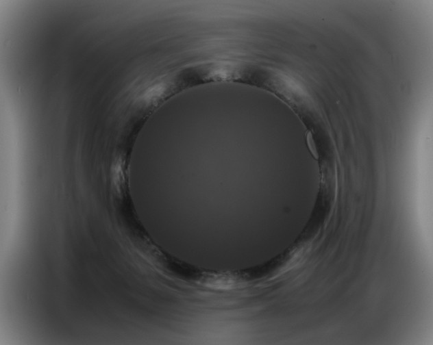 X0000087320127200704201117