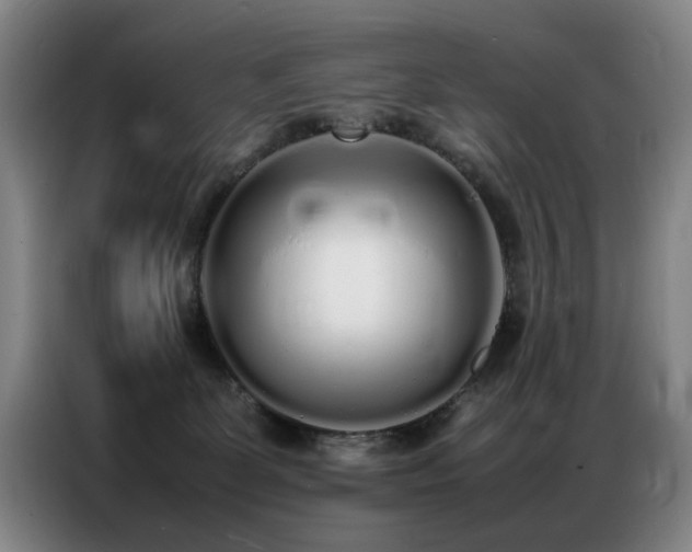 X0000087320131200704201117