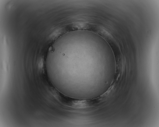 X0000087320132200704201117