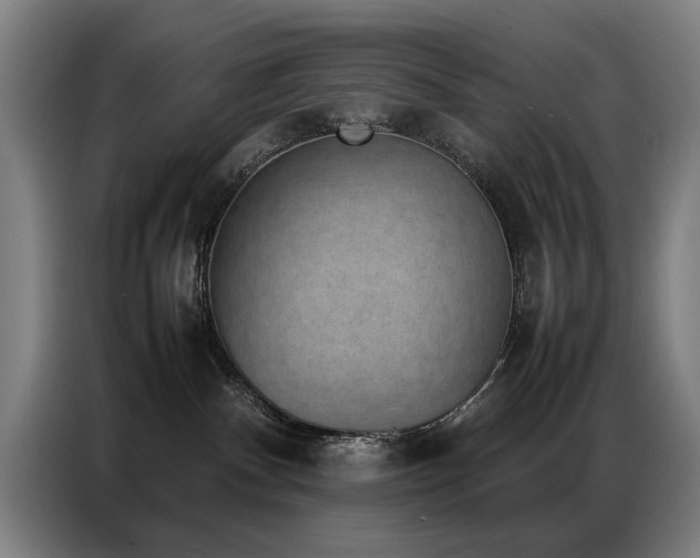 X0000087320140200704201117
