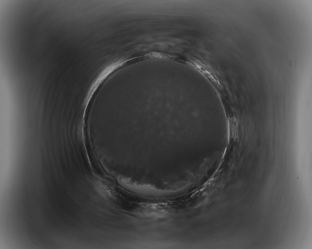 X0000087320147200704201116