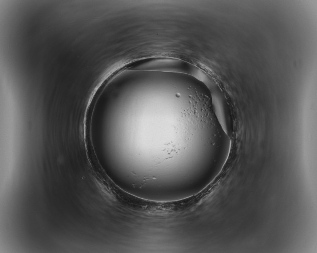X0000087320148200704201116