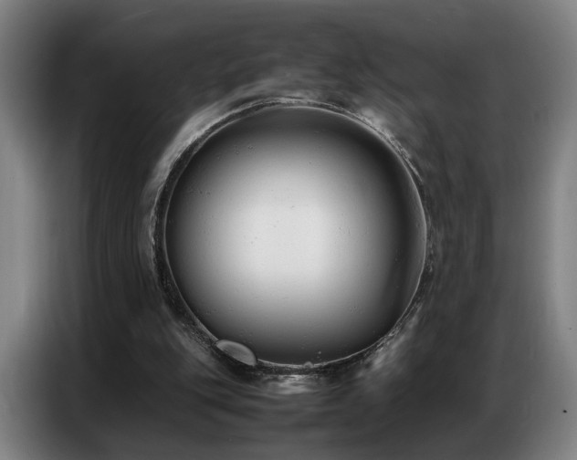 X0000087320151200704201116