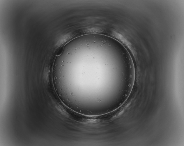 X0000087320153200704201116
