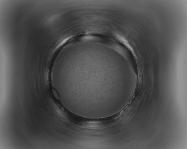 X0000087320154200704201116