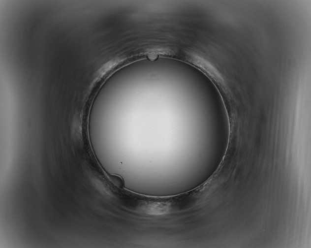 X0000087320155200704201116