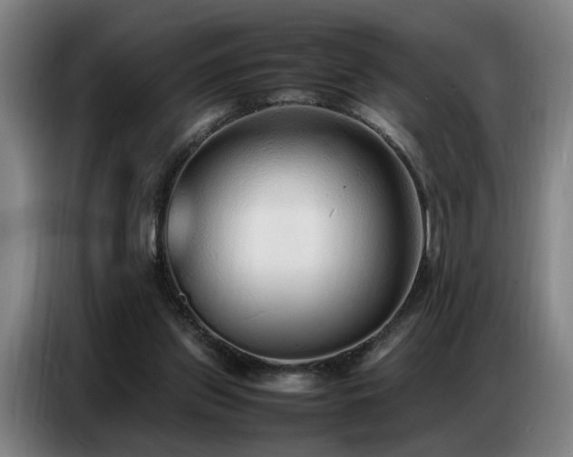 X0000087320157200704201116