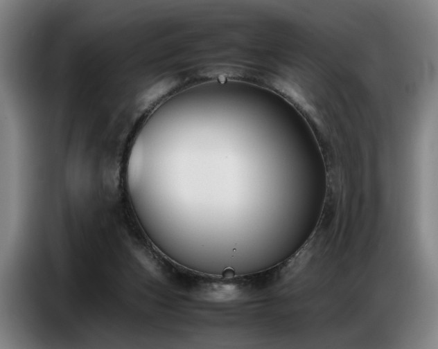 X0000087320159200704201116