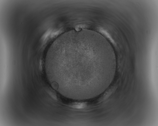 X0000087320161200704201116