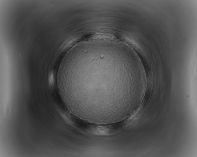 X0000087320166200704201116