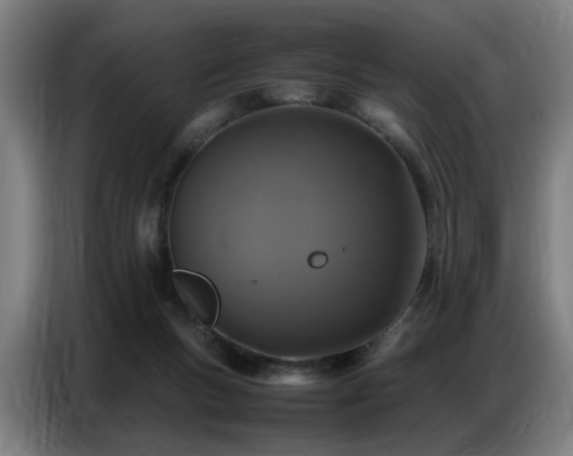 X0000087320167200704201116
