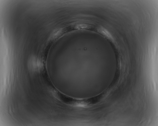 X0000087320169200704201116