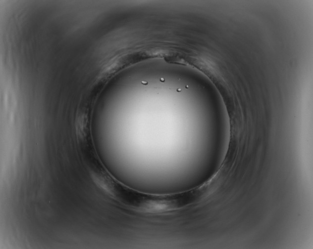 X0000087320171200704201116