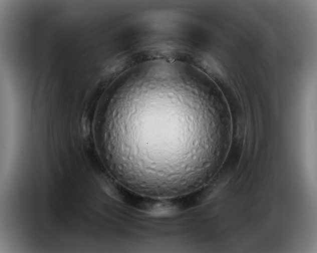 X0000087320173200704201116