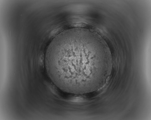 X0000087320175200704201116