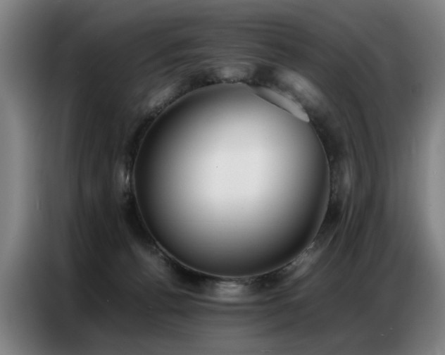 X0000087320176200704201116