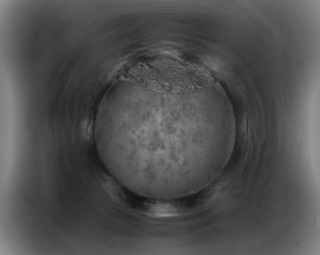 X0000087320177200704201116