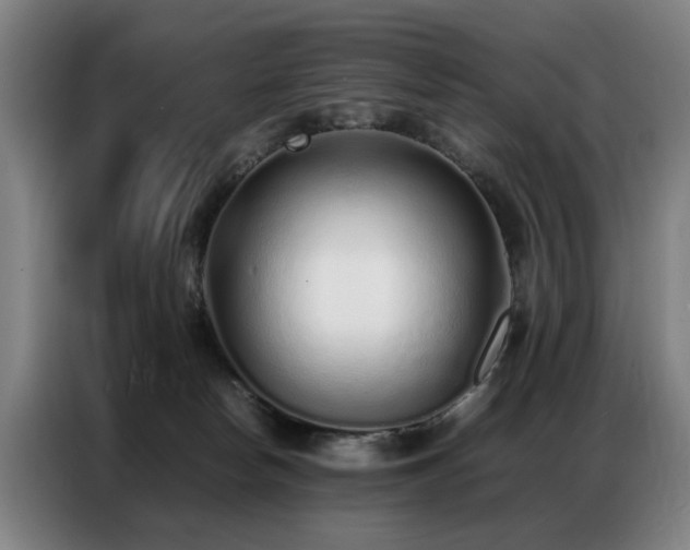 X0000087320178200704201117