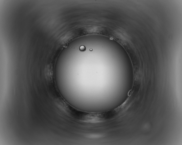 X0000087320179200704201117