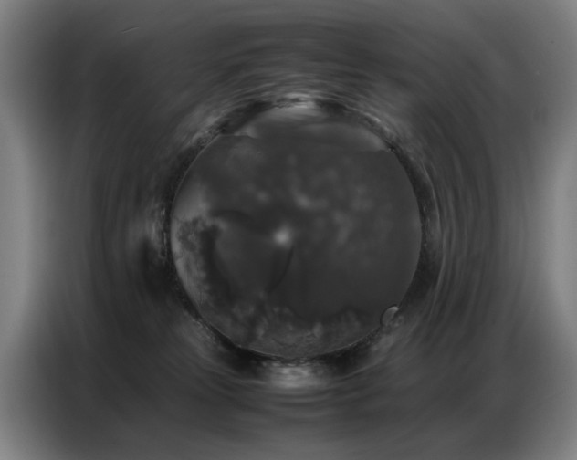 X0000087320181200704201117