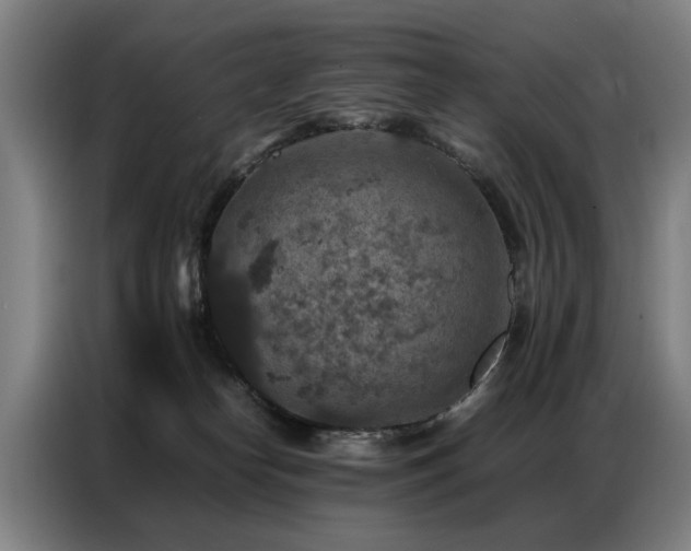 X0000087320182200704201117