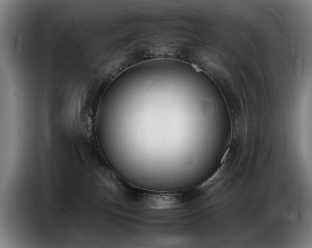 X0000087320183200704201117