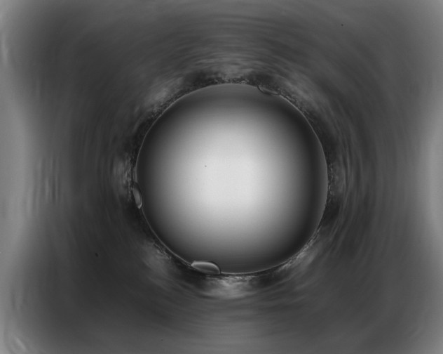 X0000087320184200704201117