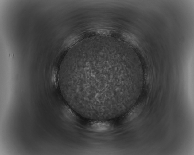 X0000087320185200704201117