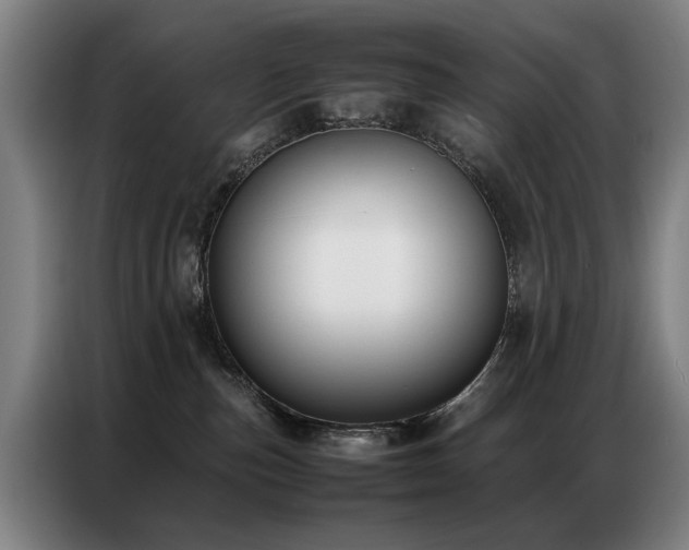 X0000087320187200704201117