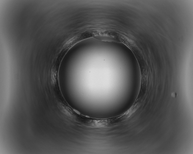 X0000087320188200704201117