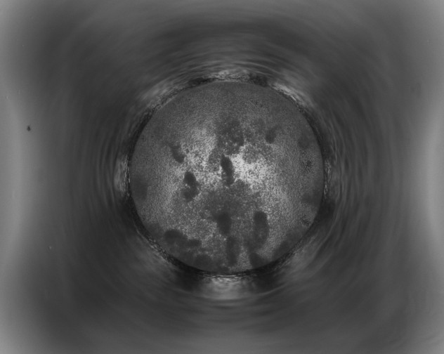 X0000087320189200704201117