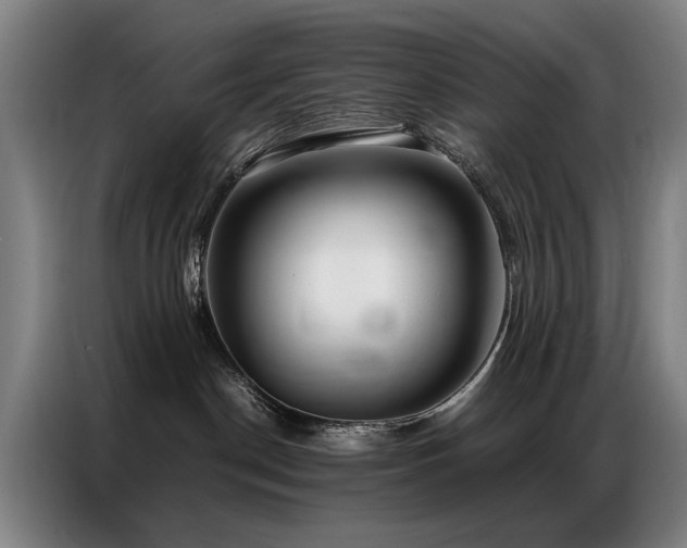 X0000087320190200704201117